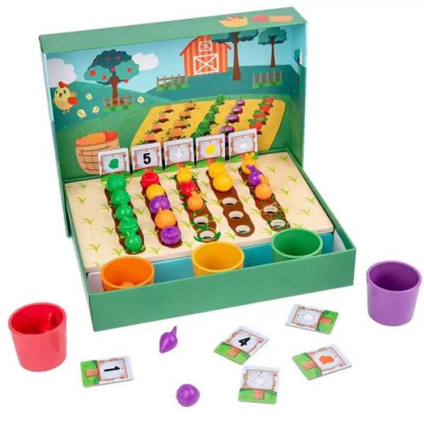 Fruits and Veggie Farm