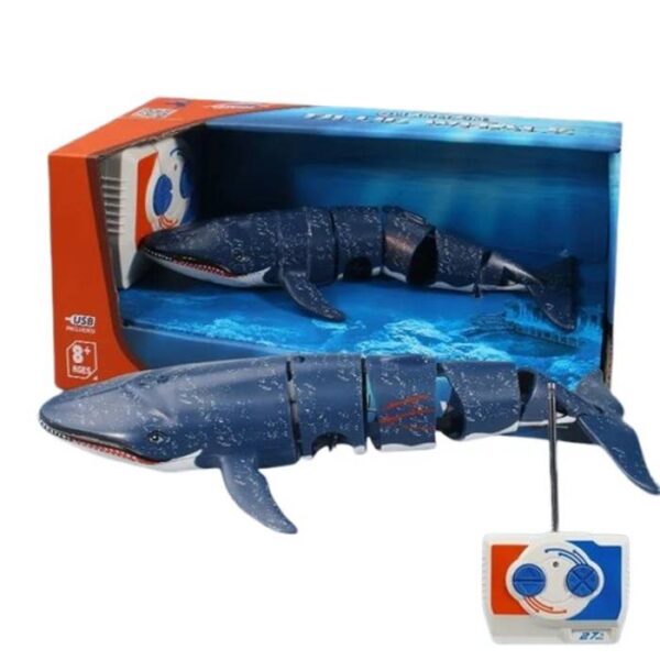 Whale Wonder Fun & Educational