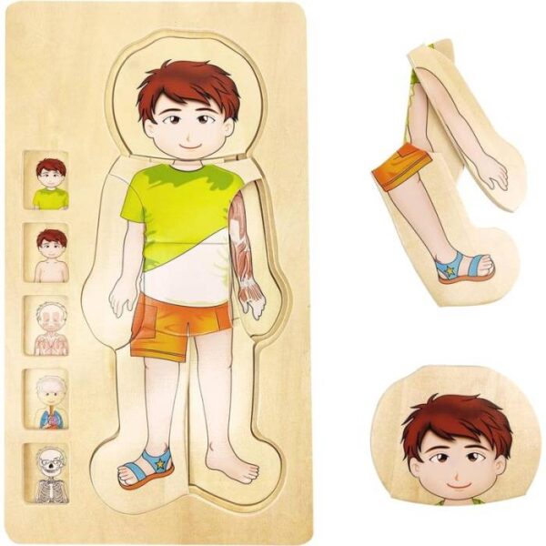 Multi-Layer Puzzle -Boy Body Struction