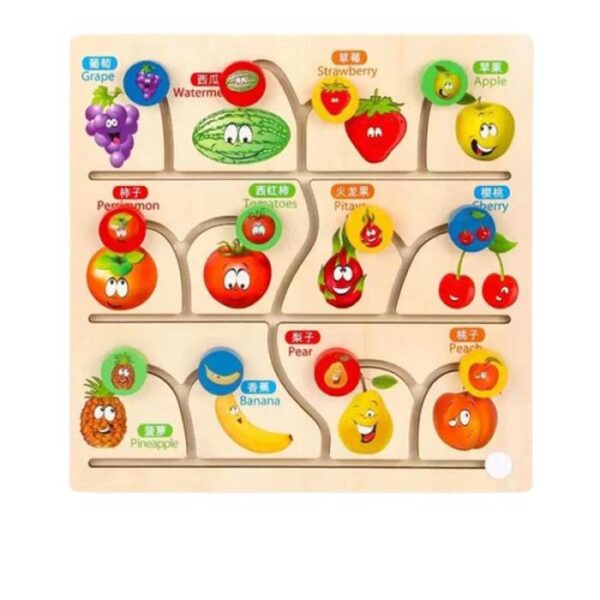 Walking Maze -Fruit Cognition