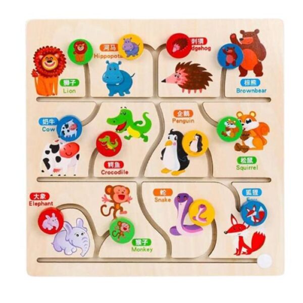 Animal Maze- Animal Cognition