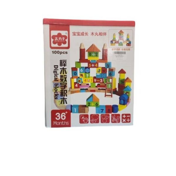 Math Wooden Learning Block Set-100PC