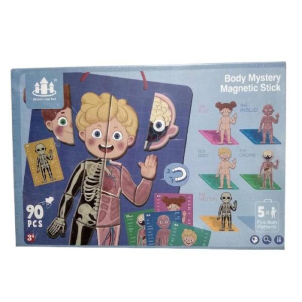 Human Body Magnet Puzzle